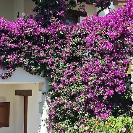 Apartment Rurales La Gueertona